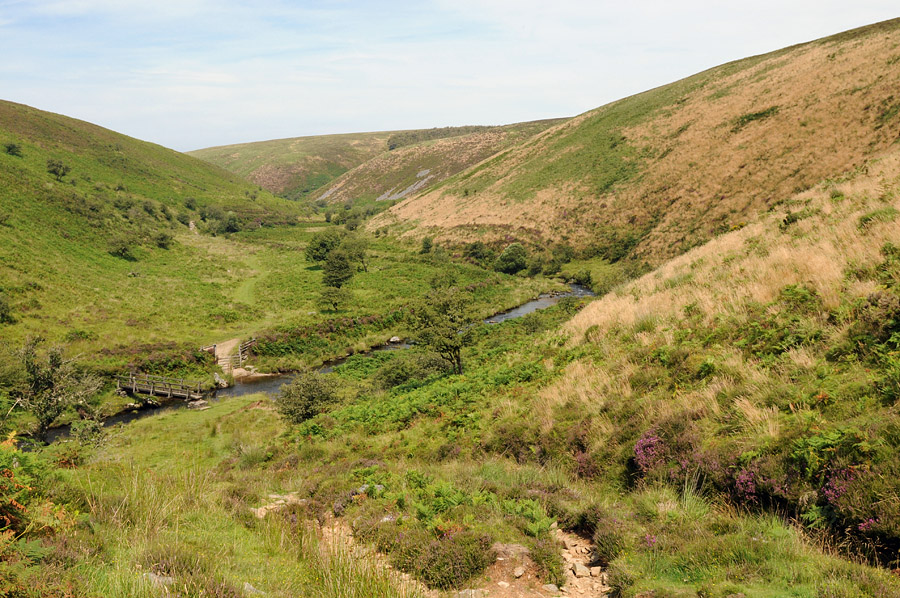 DSC_0908.jpg
